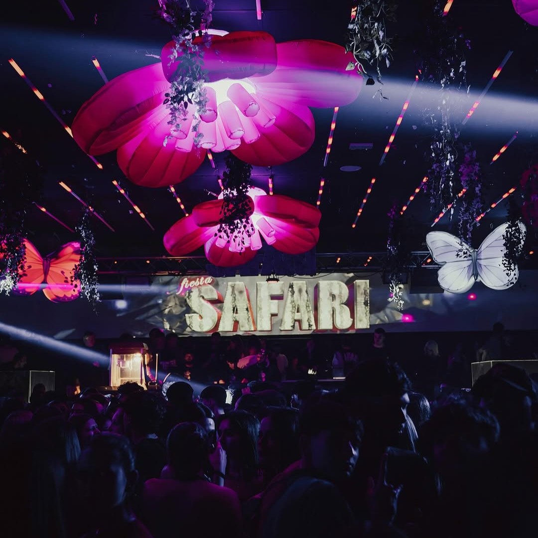 Safari Format Experience